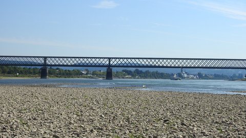 Rhein-Niedrigwasser2.jpg