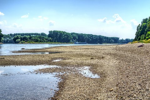 Rhein-Niedrigwasser.jpg